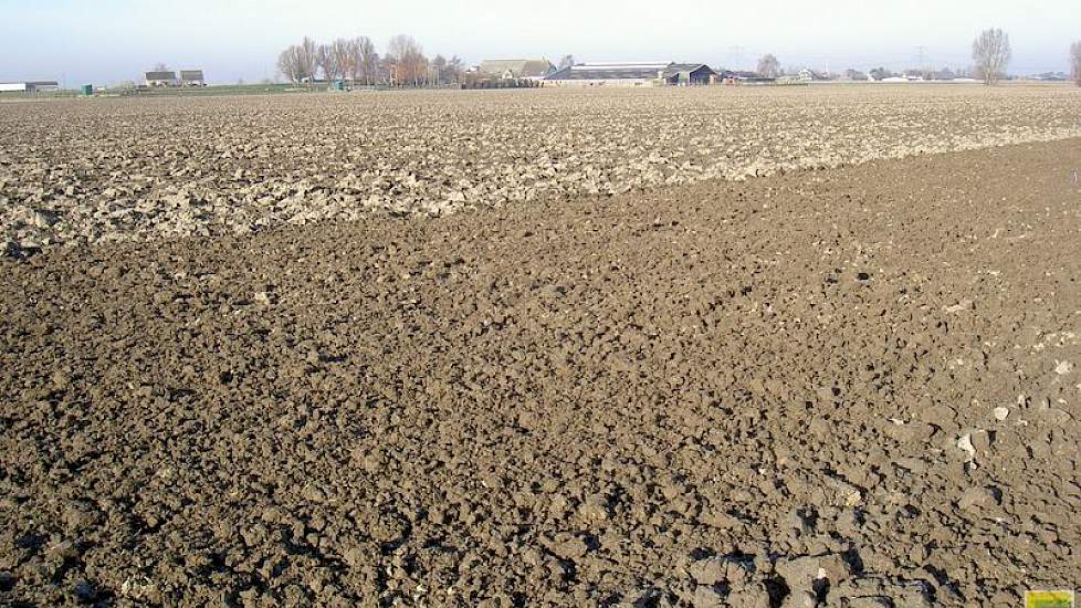 5 december: Op de voorgrond het eenmaal bewerkte deel, op de achtergrond zijn de ploegsneden zichtbaar.