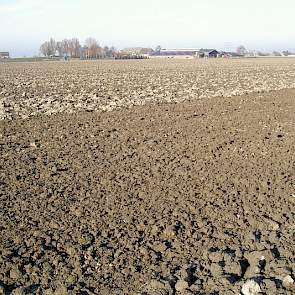 5 december: Op de voorgrond het eenmaal bewerkte deel, op de achtergrond zijn de ploegsneden zichtbaar.