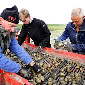 Akkerbouwer Peter van Schagen (rechts) zoekt samen met zijn schoonvader Cor Blom (links) en zijn zoon Sil van Schagen kluiten en rotte knollen tijdens het aardappelen rooien.