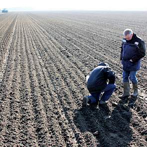 Jan van der Slik van Van Iperen controleert met René Buth of de kluiten klein genoeg zijn geworden om de uien onder te dekken.