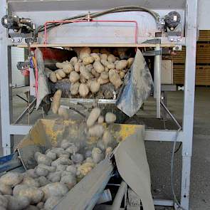 Ook Boer heeft schade opgelopen in zijn gewassen als gevolg van de vele regen. ‘Een deel van de aardappelen is niet opgekomen.’ Overpoten was hier geen optie. ‘Het was vaak pleksgewijs midden in een perceel. Bovendien was er ook geen pootgoed meer beschik