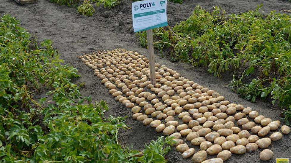 Er was ook veel aandacht voor meststoffen. Het Britse Sirius Minerals presenteerde zich tijdens de Aardappeldemodag voor het eerst aan de Nederlandse akkerbouw met zijn korrelmeststof Poly 4. Deze meststof bestaat uit de vier mineralen kalium, zwavel, mag