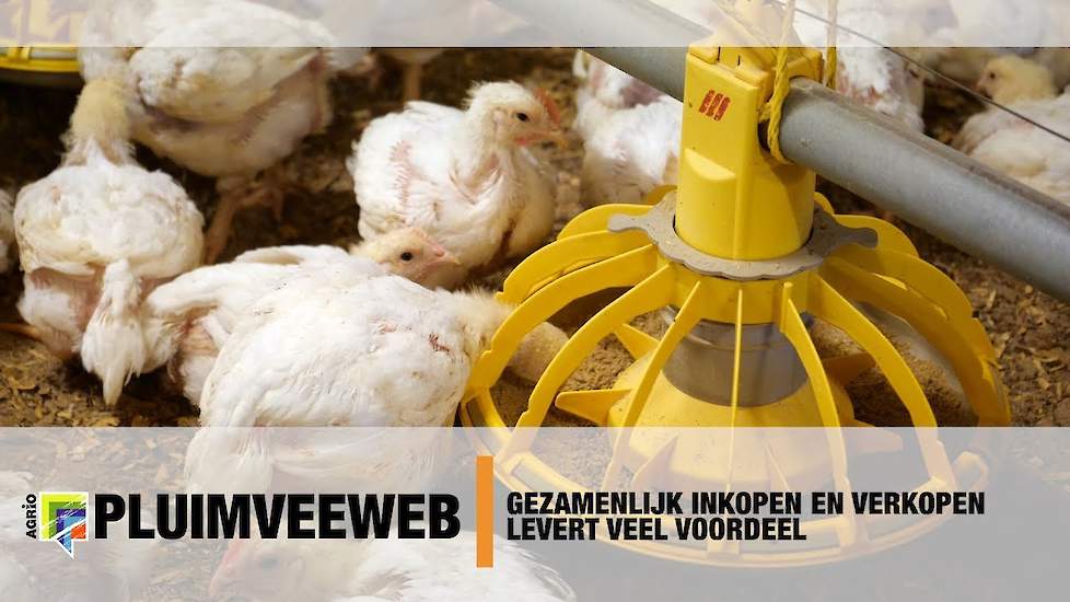 Gezamenlijk inkopen en verkopen levert veel voordeel