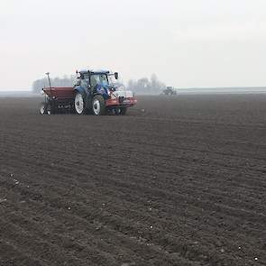 De verwachting is dat de uien van deze percelen eind juni, begin juli worden gerooid. De voorraad uien van de oude oogst is als gevolg van de droogte in 2018 beperkt. De vroege tweedejaarsplantuien en ook de winterplantuien komen, als alles meezit, daarme