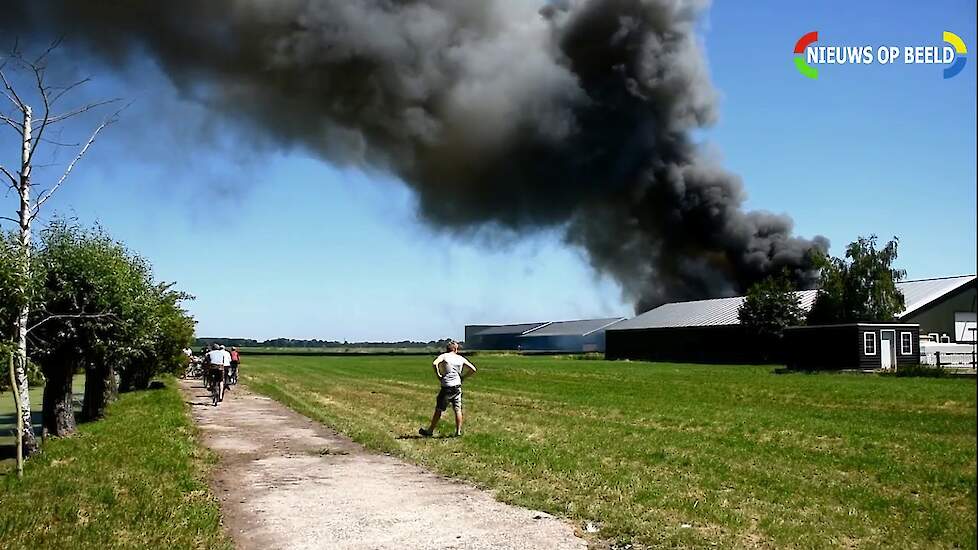 Varkens omgekomen na grote brand in schuur Linschoten