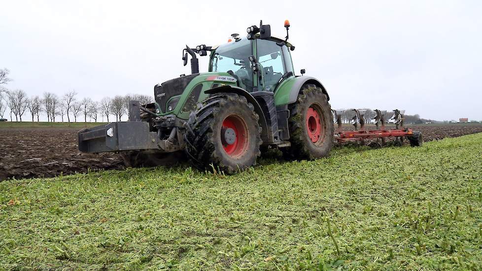 Op dit perceel stond vorig jaar wintertarwe. Na de oogst is in augustus de groenbemester ingezaaid. De groenbemester (bladrammenas met 3 procent zwaardherik) is voor het ploegen geklepeld met een klepelmaaier.