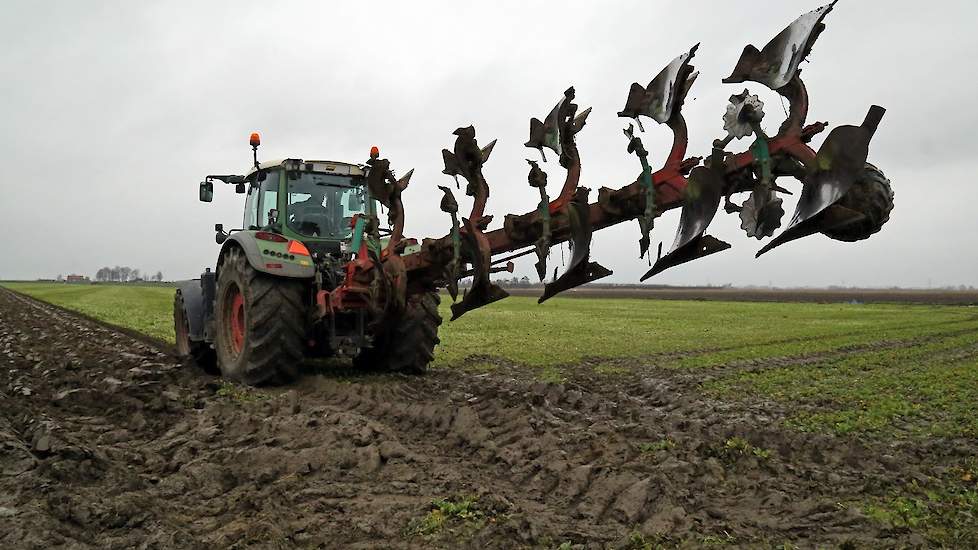 Van den Hoek teelt de groenbemesters niet alleen voor de vergroeningsregels. De akkerbouwers vinden het belangrijk dat de bodem zo lang mogelijk bedekt blijft. Daarnaast is het goed voor de aanvoer van organische stof, zegt Peter van den Hoek.