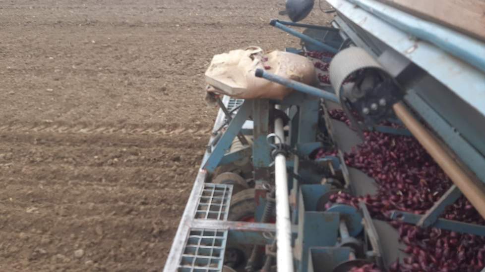 De Zeeuwse akkerbouwer Harm van Hoeve plant uien.