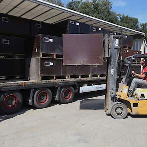 Frank laadt de vrachtwagen voor transport naar Venhuizen, waar broer John zorgt voor de verdere verwerking. De bollen worden daar gepeld en later klaargemaakt voor de export. Omdat „elk pluisje er daarom af moet" wordt het pellen machinaal en met de hand