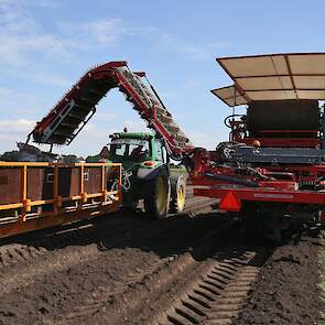 Naast het tulpenareaal heeft Boon Brothers Flowerbulbs nog 22 hectare lelies.