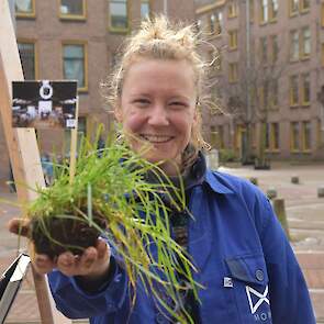 Met de actie wil MOMA consumenten oproepen om zorg te dragen voor het landschap.