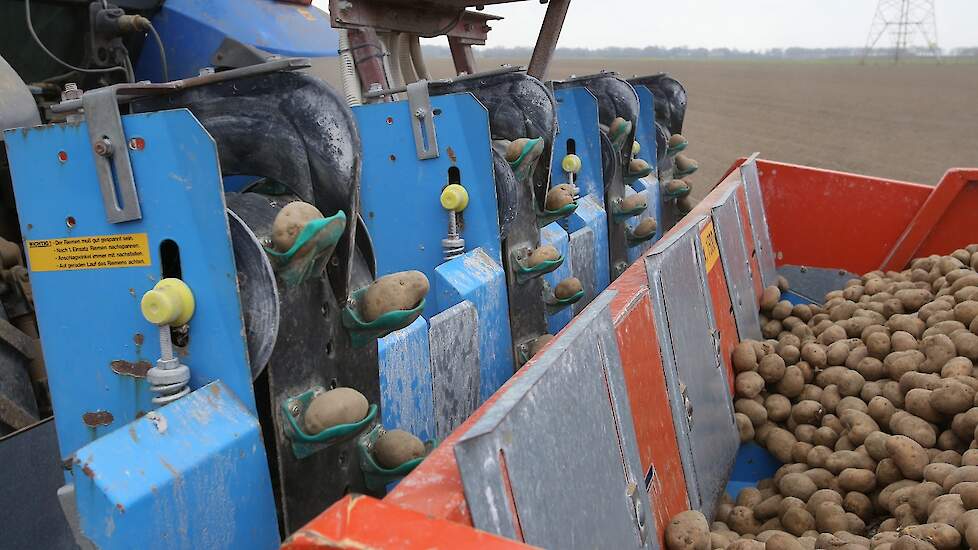 Hij teelt zijn fritesaardappelen voor de helft op contract. Deze aardappelen zijn uiteindelijk opgehaald door de industrie voor de contractprijs. De vrije aardappelen gingen echter voor de dagprijs weg. „En dat kost geld, flink geld.”