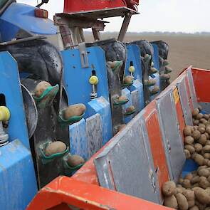 Hij teelt zijn fritesaardappelen voor de helft op contract. Deze aardappelen zijn uiteindelijk opgehaald door de industrie voor de contractprijs. De vrije aardappelen gingen echter voor de dagprijs weg. „En dat kost geld, flink geld.”