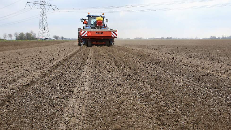 Vorig jaar teelde Van der Hoek nog 40 hectare aardappelen. „Het is al twee jaar op rij slecht in de fritesaardappelmarkt. Vorig jaar had ik mijn pootgoed al gekocht, dus moest ik wel. Dit jaar heb ik de keuze gemaakt om minder te telen.” De vrijgekomen pe