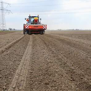 Vorig jaar teelde Van der Hoek nog 40 hectare aardappelen. „Het is al twee jaar op rij slecht in de fritesaardappelmarkt. Vorig jaar had ik mijn pootgoed al gekocht, dus moest ik wel. Dit jaar heb ik de keuze gemaakt om minder te telen.” De vrijgekomen pe