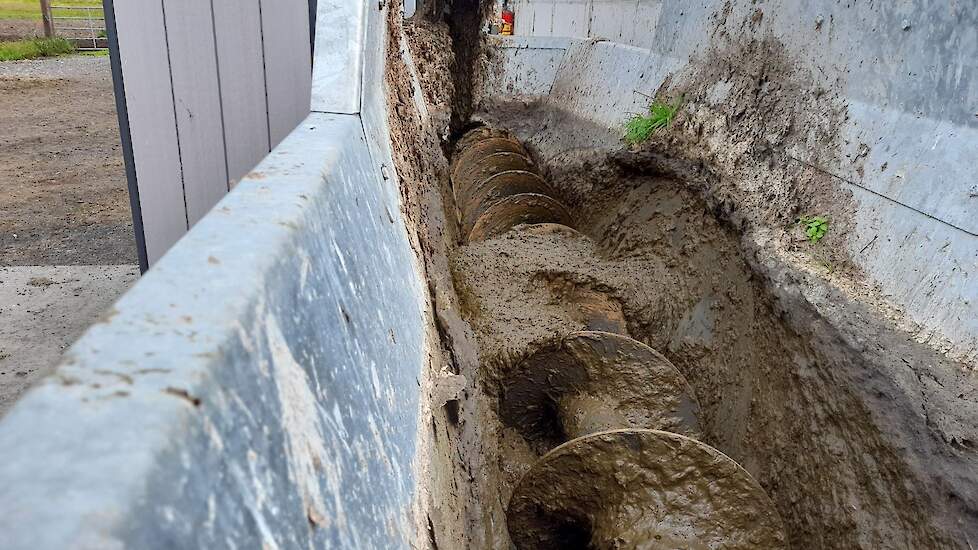 Achter de stal komt de mest in een opvangbak en een vijzel brengt de mest verder naar een hogedrukpomp die de mest naar een tijdelijke opslag vervoert.