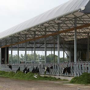 De stal is 45 meter breed, 50 meter diep en heeft een nokhoogte van 7,5 meter.