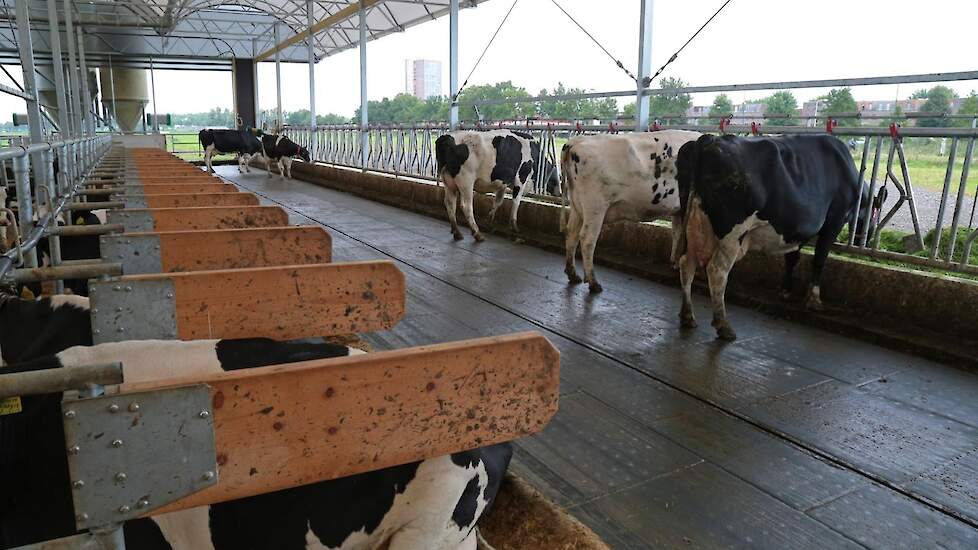 De nieuwe stal is gebouwd volgens de richtlijnen van Maatlat Duurzame Veehouderij.