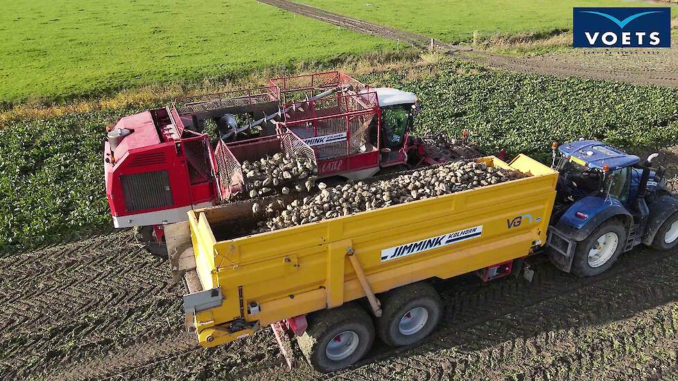 Suikerbieten overladen met New Holland T7.315 en VGM 22 tons hooglosser door Jimmink Kolhorn