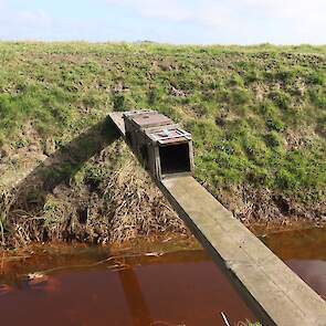 Nog een kastval met doorloop. Deze val is zo geplaatst dat wanneer een predator naar de overkant wil, hij wel door de val heen moet lopen.