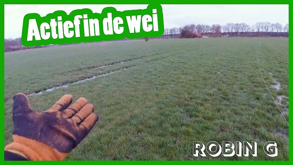 De koeien gaan bijna naar buiten! - Robin Groen's vlog #6 - Vloggende jonge boeren