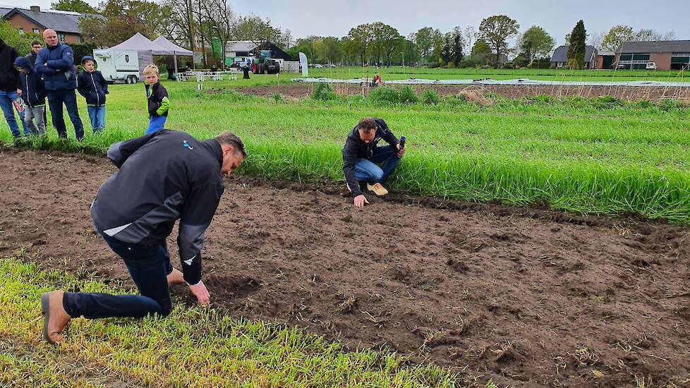 Het is belangrijk dat het gewas helemaal los komt zodat het daarna uitdroogt en niet verder groeit. Na minder diep afstellen van de machine ging dat al beter.