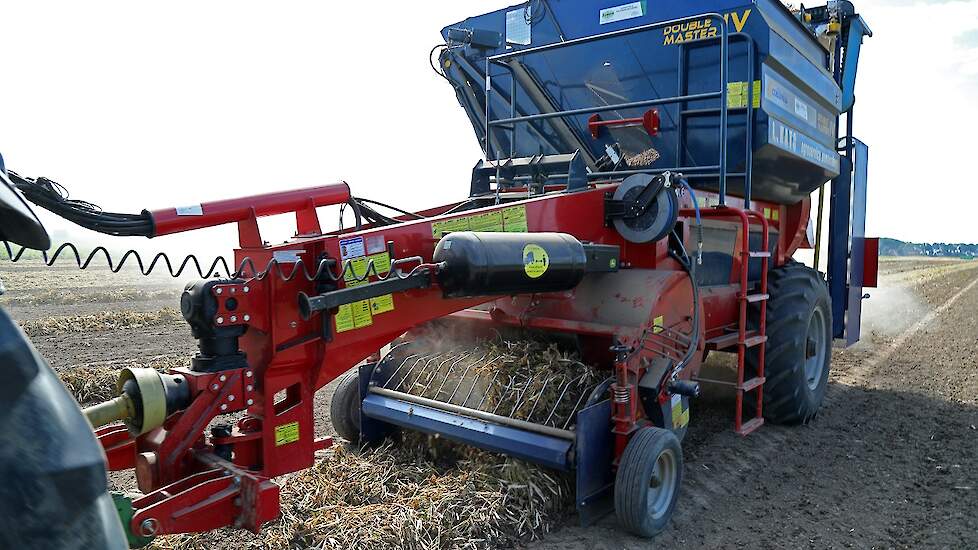 Het zwad wordt opgeraapt door de Colombo-dorsmachine en gaat via de dorsas naar de zeef, waar het stro en het product van elkaar worden gescheiden. De bonen gaan via een transportband naar de opvangbak.