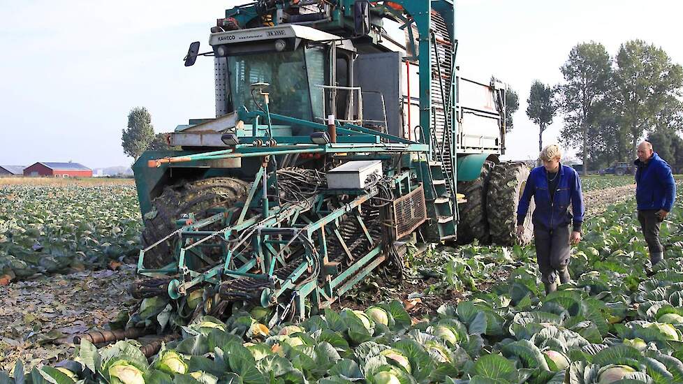 Na een uur kan de machine weer aan het werk. Als het lekker loopt komt er 20 ton kool per uur van het land.