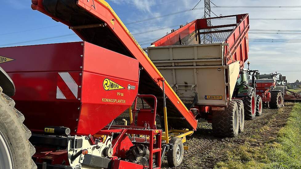 De kunst van het telen van winterplantuien om er voor te zorgen ook écht vroeg op de markt te zijn, is de ervaring van Varekamp. Dan heb je de meeste kans op een goede prijs en goede afzet. De winterplantui past goed in de rotatie van Varekamp vanwege de