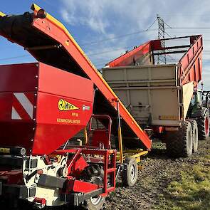 De kunst van het telen van winterplantuien om er voor te zorgen ook écht vroeg op de markt te zijn, is de ervaring van Varekamp. Dan heb je de meeste kans op een goede prijs en goede afzet. De winterplantui past goed in de rotatie van Varekamp vanwege de