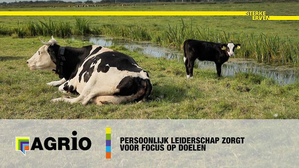 Focus op doelen door persoonlijk leiderschap