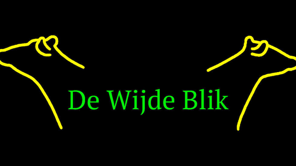 Alle vaarzen en koeien zijn afkomstig van De Wijde Blik, het melkveebedrijf van de familie Nijman in Stegeren, die samen met Veeteeltstudieclub Ommen e.o. de dag organiseerde.