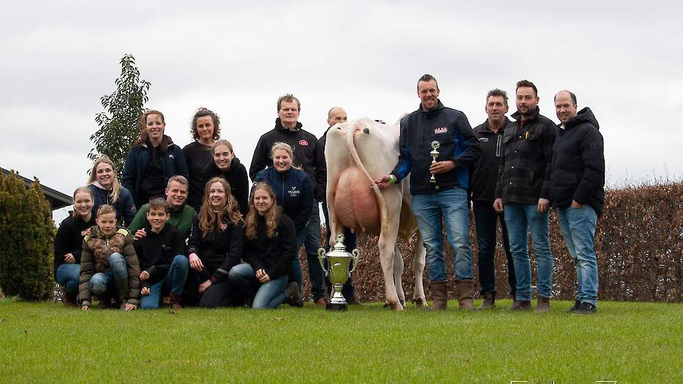 Een enthousiast team van vrijwilligers zorgden voor een vlekkeloos verloop van de wedstrijd. Samen wasten en poetsten zij de vaarzen en koeien. En brachten ze later voor, om ze te laten beoordelen door de deelnemers.