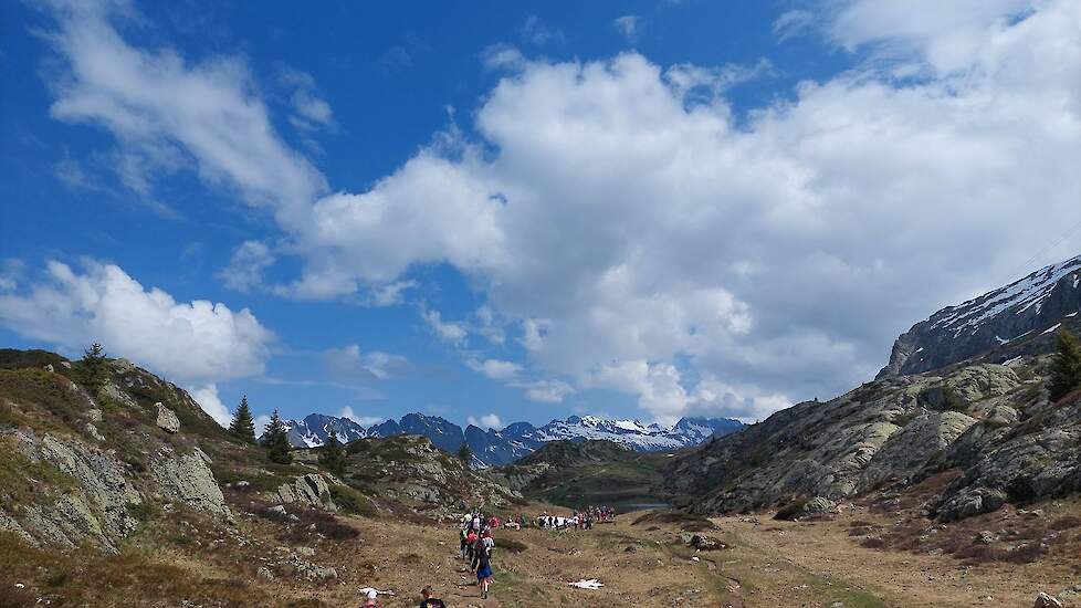 De wandelaars liepen een tocht om ook te wennen aan de lucht en de hoogtemeters en natuurlijk genieten van het mooie landschap. In de avond waren er bijeenkomsten over vrijwilligerswerk en geldbesteding van Alpe d'HuZes.