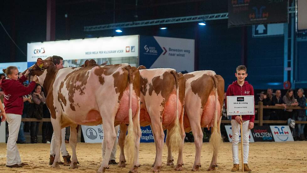 Albring was de enige die zowel een rood- als zwartbonte groep in de ring bracht. Net als bij de zwartbonten had hij ook bij de roodbonten een mooie uniforme groep jonge koeien opgesteld met hele beste uiers. Goed voor de reservetitel bij de roodbonten.