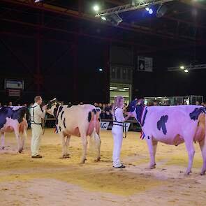 De gehele top-3 van de eerste rubriek kwam in de vaarzenfinale. Naast Drouner Cosmo 1836, rechts op de foto, waren dat de Lambda-dochters Hbc Lambda Ilona van de familie Schep uit Bergambacht in het midden en Lambda Ashlyn van de familie De Groot uit Ever