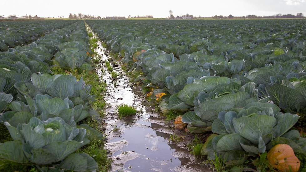 Nat land maar geringe schade.