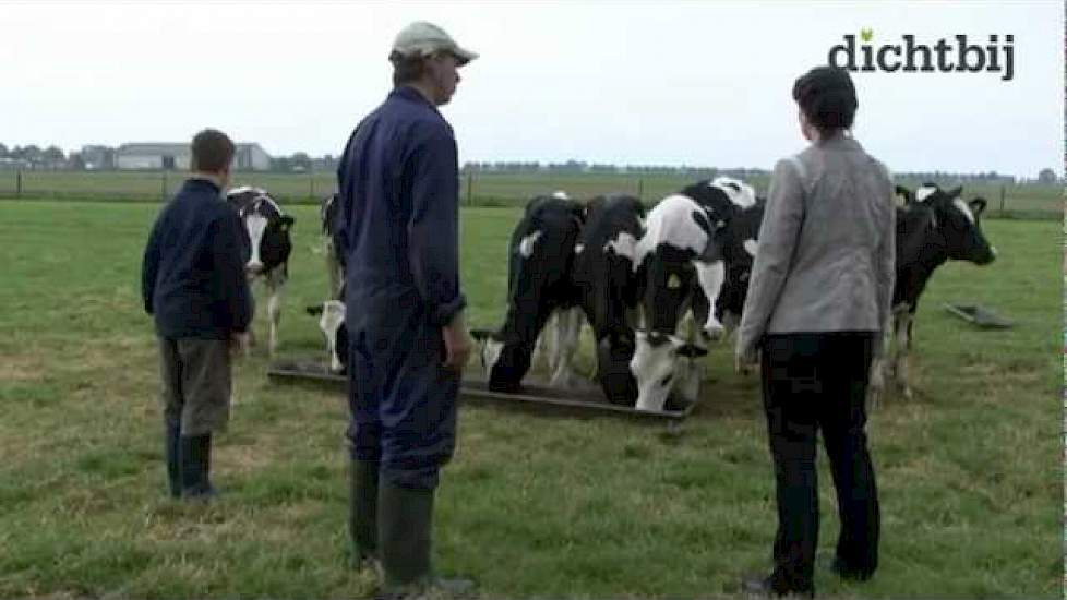 Koe doodgeschoten bij de Oudijk