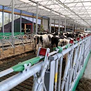 De Greenestfarm, met diepstrooiselboxen, heeft letterlijk een groene uitstraling.