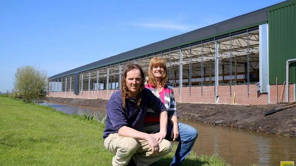 Pieter en Saskia Bogaard bouwden een nieuwe serrestal met een hoop licht, veel koecomfort en ingepast in de lintbebouwing. 'We wilden een stal met een hoog wauw-gehalte, alsof je in een kijkdoos kijkt.'